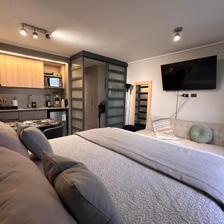 King Studio Santiago Centro Cerca Movistar Arena y Fantasilandia - One-Bedroom Apartment - 3