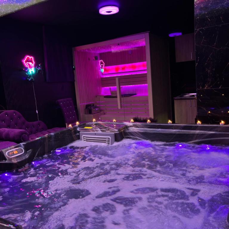 Flex Lux Spa Apartment Belgrade with Jacuzzi Sauna - One-Bedroom Apartment - 3