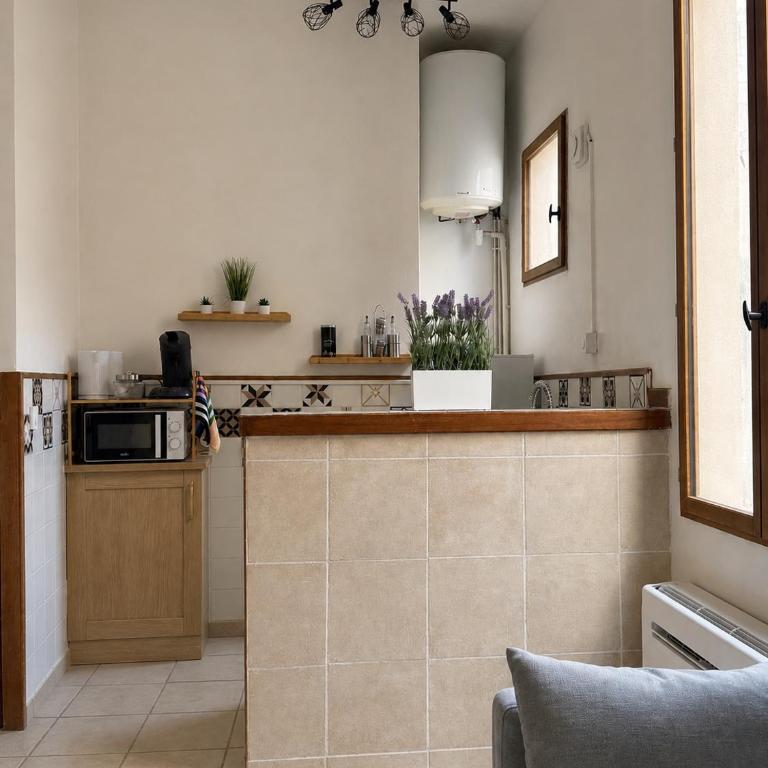 Les maisons d Arles - Apartment mit 1 Schlafzimmer - 2