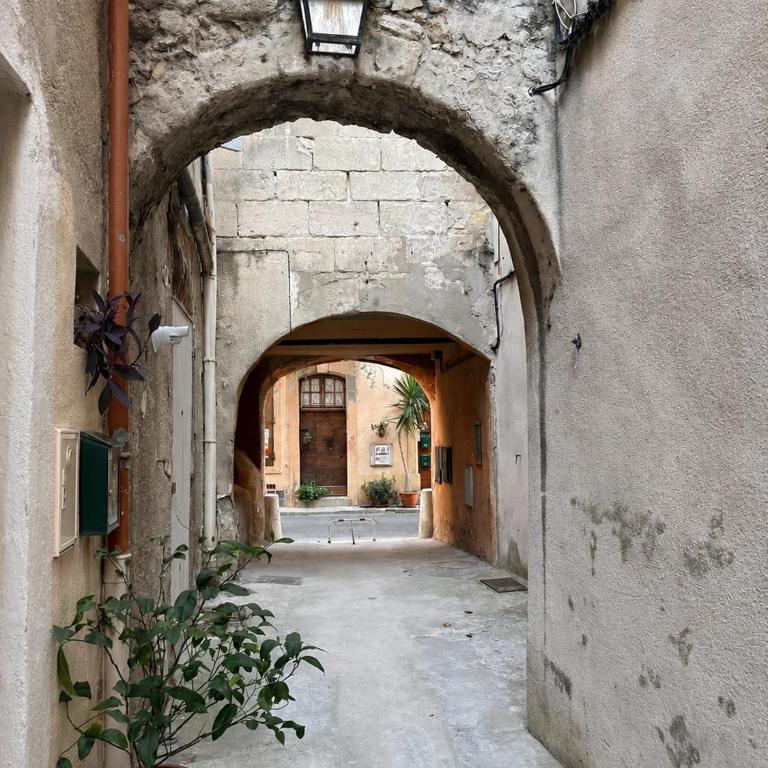 Les maisons d Arles - Apartment mit 1 Schlafzimmer - 17