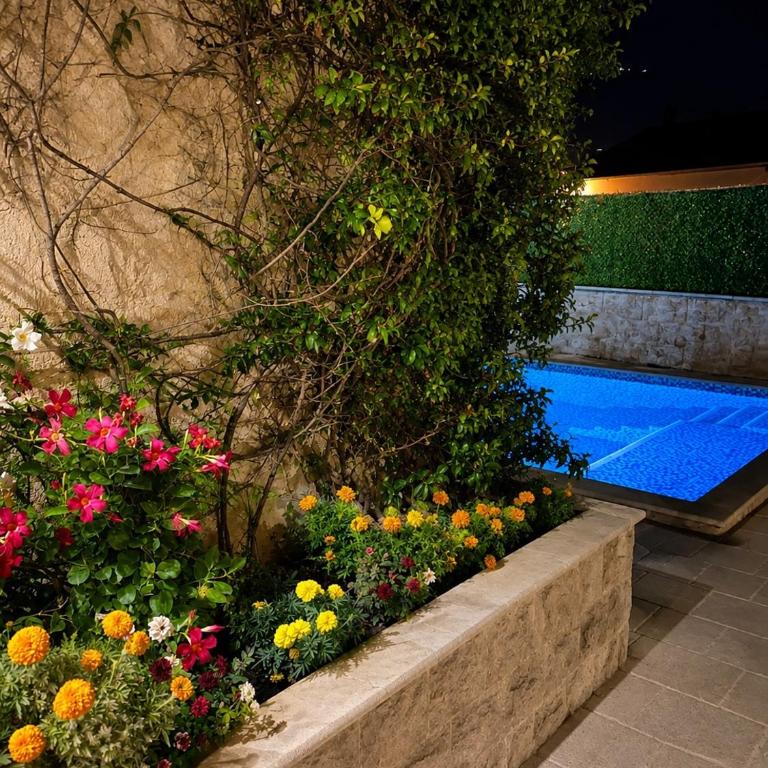 Private luxurious house with pool and garden - Vila - 46