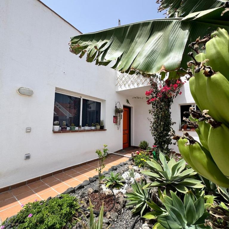 Casa Bonita - Beautiful 3 Bed Villa with Private Heated Pool and Fibre Wifi - Casa con 3 Camere da Letto - 12