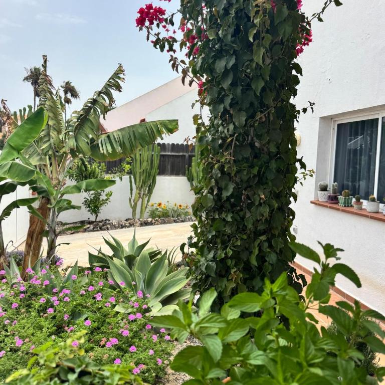 Casa Bonita - Beautiful 3 Bed Villa with Private Heated Pool and Fibre Wifi - Casa con 3 Camere da Letto - 11
