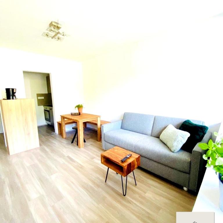 Panorama-Glück I & III - One-Bedroom Apartment with Balcony and Mountain View - 9