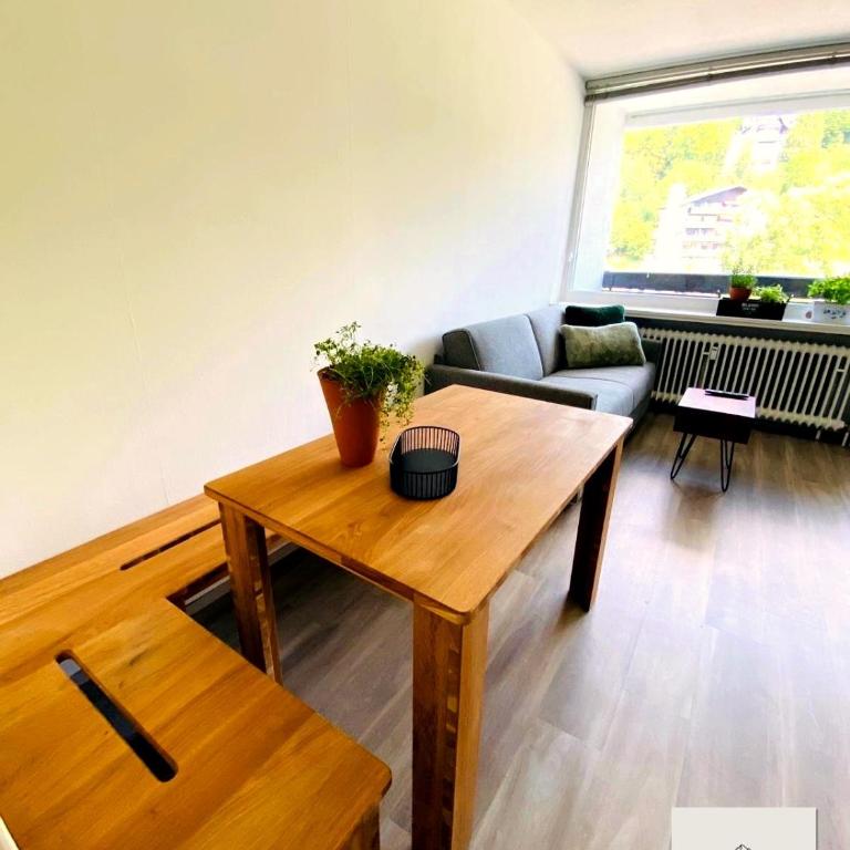Panorama-Glück I & III - One-Bedroom Apartment with Balcony and Mountain View - 22