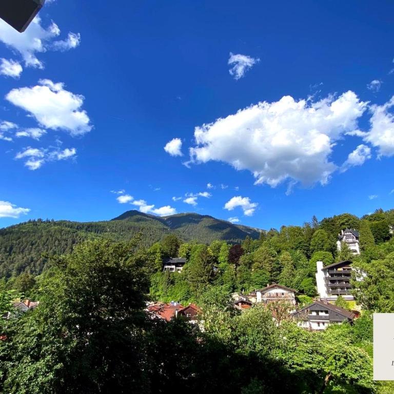 Panorama-Glück I & III - One-Bedroom Apartment with Balcony and Mountain View - 1