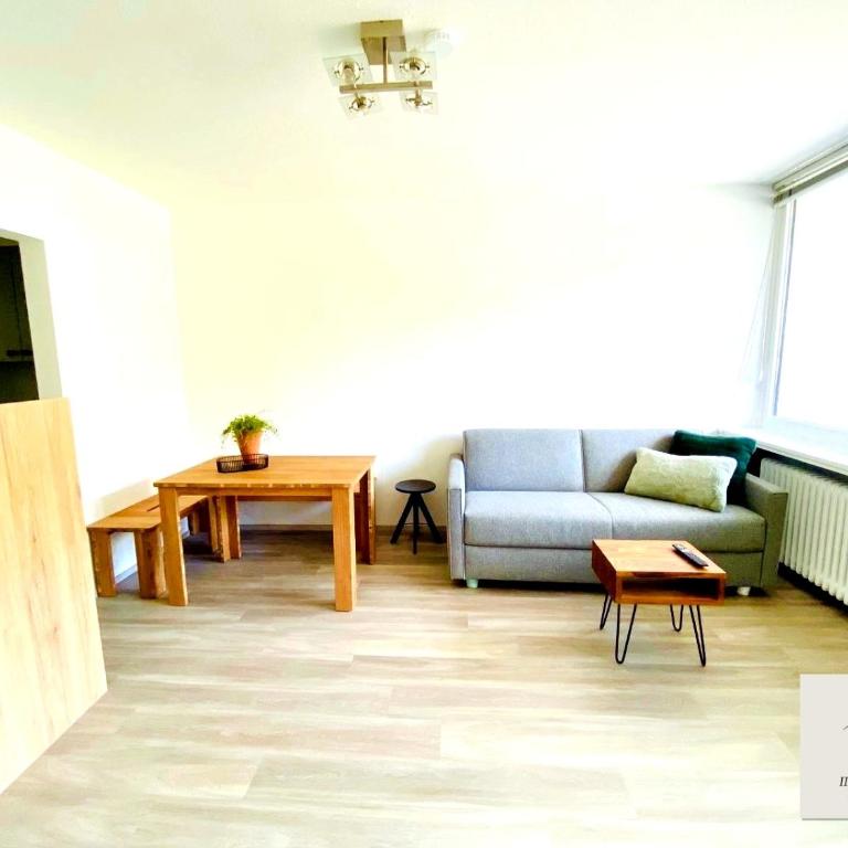 Panorama-Glück I & III - One-Bedroom Apartment with Balcony and Mountain View - 11