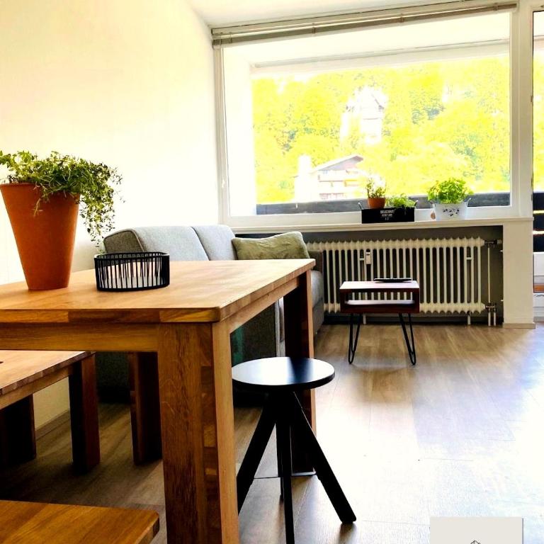 Panorama-Glück I & III - One-Bedroom Apartment with Balcony and Mountain View - 17