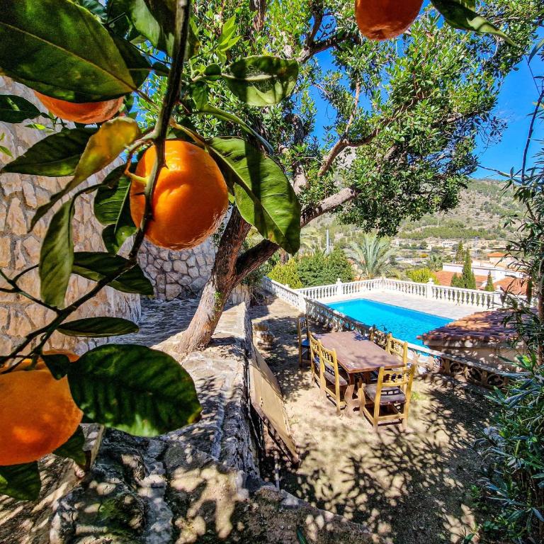 Bona Vista - Villa Deluxe - 50