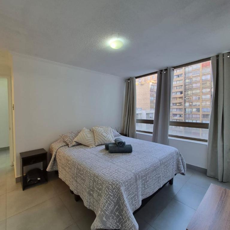 Downtown Apartment in Santiago Chile - Apartamento de 2 dormitorios - 3