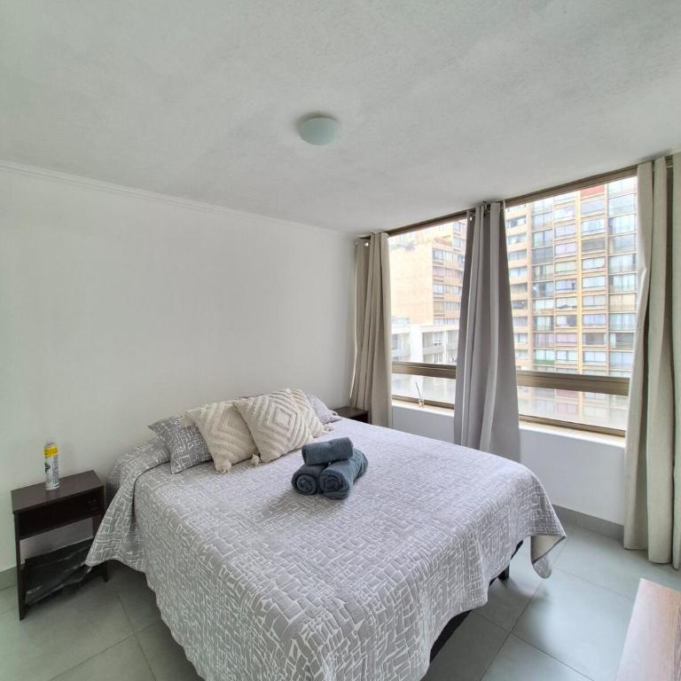 Downtown Apartment in Santiago Chile - Apartamento de 2 dormitorios - 5