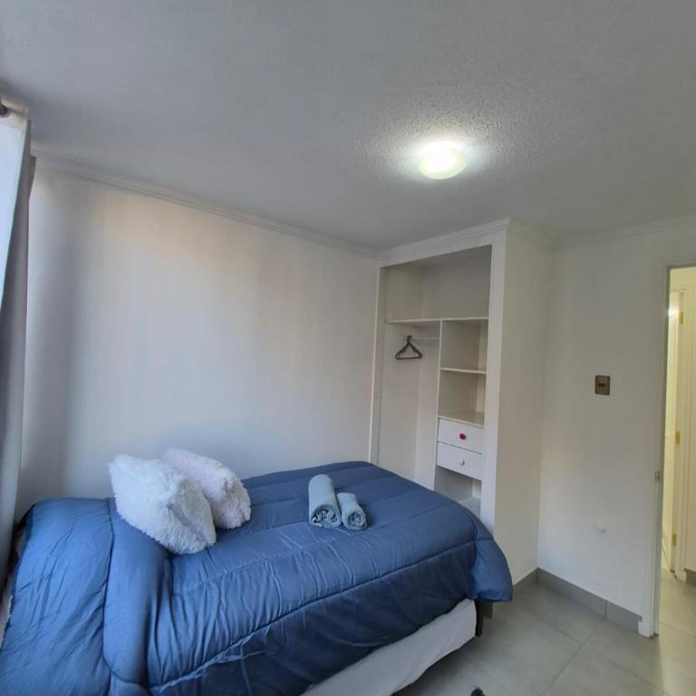 Downtown Apartment in Santiago Chile - Apartamento de 2 dormitorios - 11