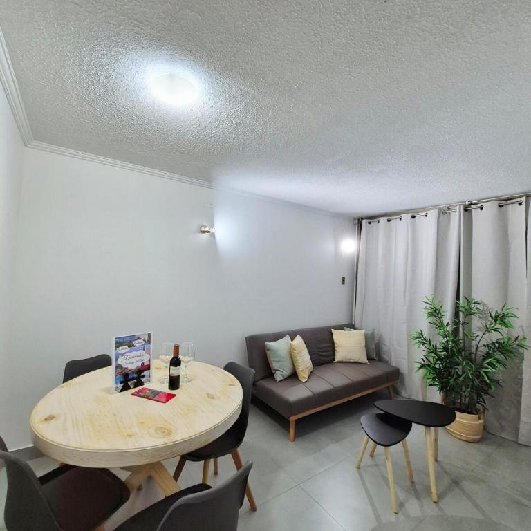 Downtown Apartment in Santiago Chile - Apartamento de 2 dormitorios - 13