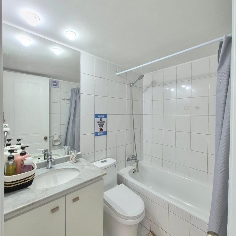 Downtown Apartment in Santiago Chile - Apartamento de 2 dormitorios - 17