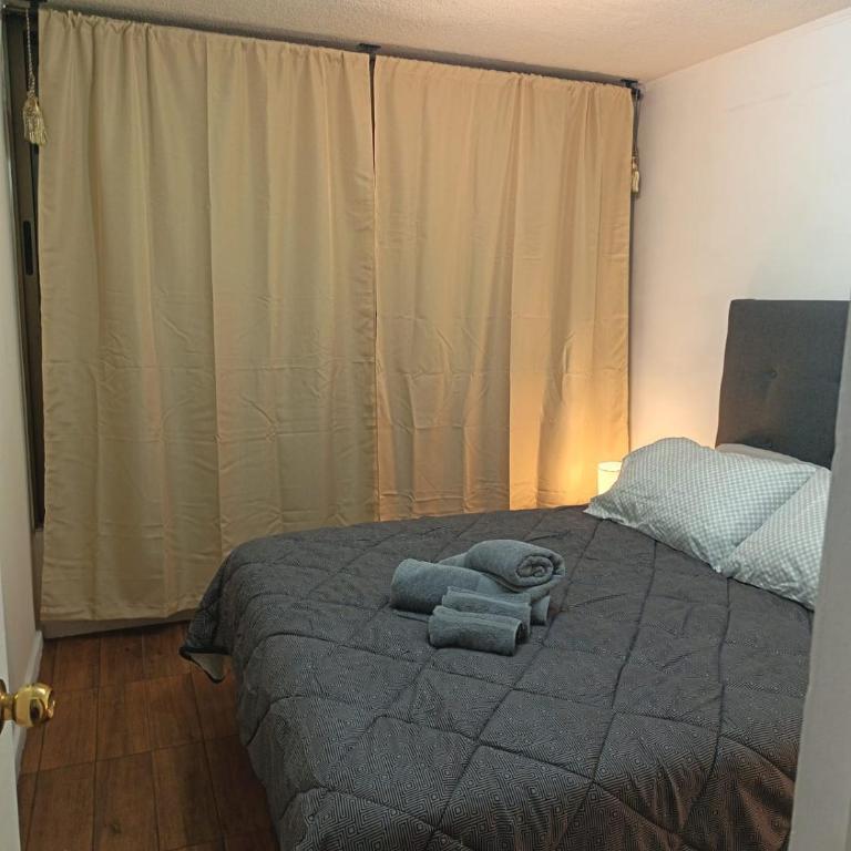 Comodo departamento en ubicacion privilegiada - One-Bedroom Apartment - 20