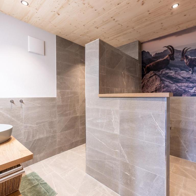 Sesselalpe - Apartment mit 2 Schlafzimmern - 12