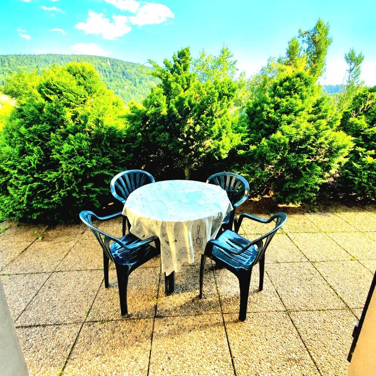 Charmant chalet - appartement avec chambre - terrasse - jardin- parking - proche toutes commodités et lac - calme - lisière de forêt - Apartamento de 1 dormitorio - 1