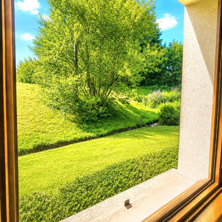 Charmant chalet - appartement avec chambre - terrasse - jardin- parking - proche toutes commodités et lac - calme - lisière de forêt - Apartamento de 1 dormitorio - 12