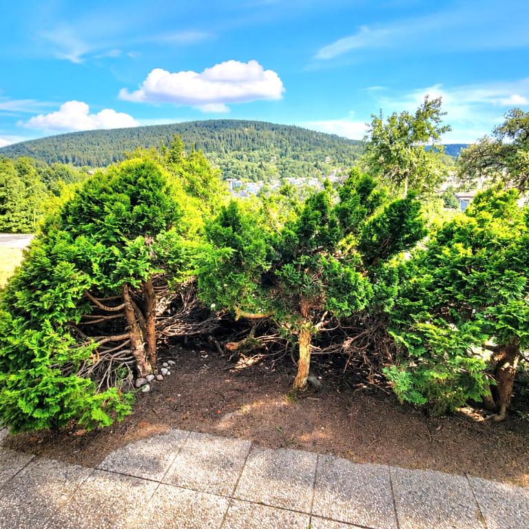 Charmant chalet - appartement avec chambre - terrasse - jardin- parking - proche toutes commodités et lac - calme - lisière de forêt - Apartamento de 1 dormitorio - 3