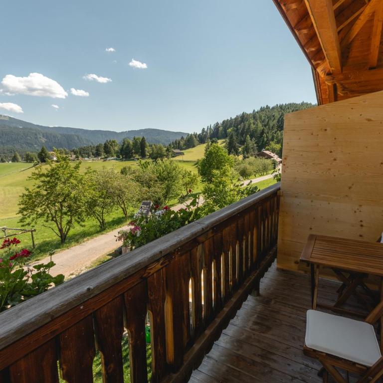 Oberranhof new 2026 - Appartamento Deluxe con 2 Camere da Letto e Vista Giardino - 11