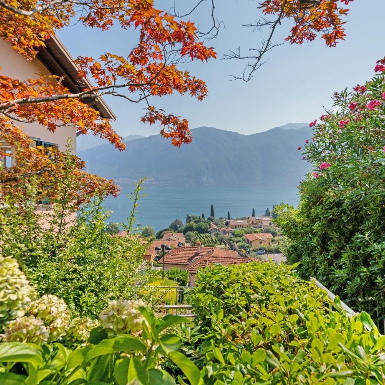 Bellagio House Antico Ulivo - Haus mit 1 Schlafzimmer - 28