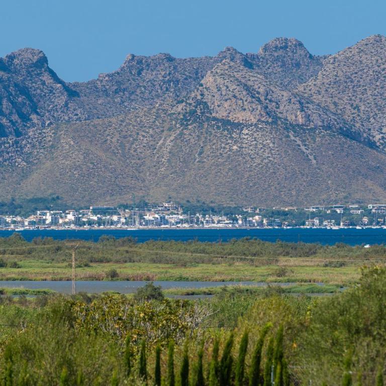 Sea Views Villa, Pou d'Ambroitx, With Pool and Garden in Alcudia - Villa de 3 dormitorios - 41
