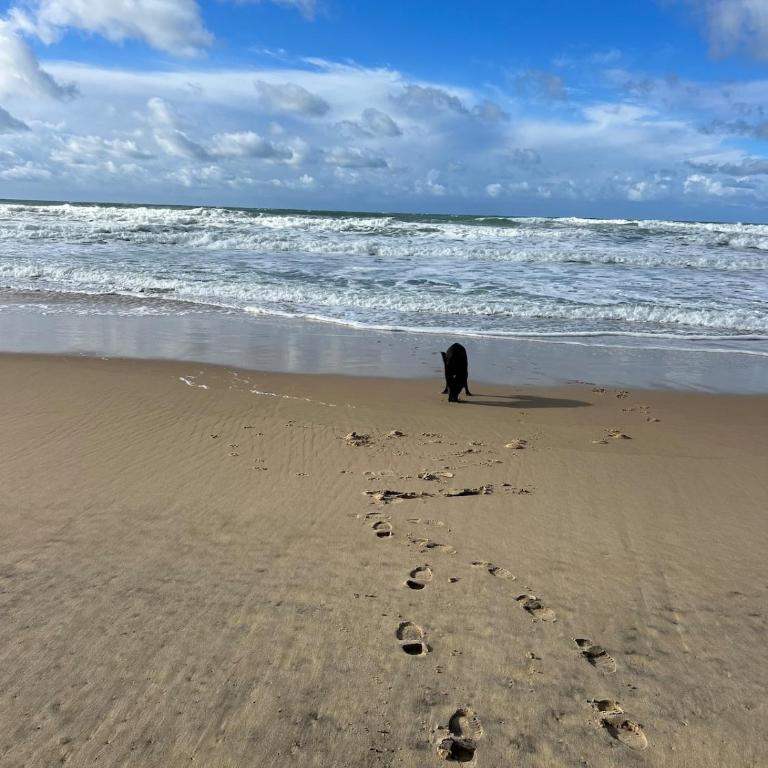 OCEAN VIEW - 2 bedroom Apt - Beach at 50M - SPool - Apartamento de 2 dormitorios con vistas al océano - 52