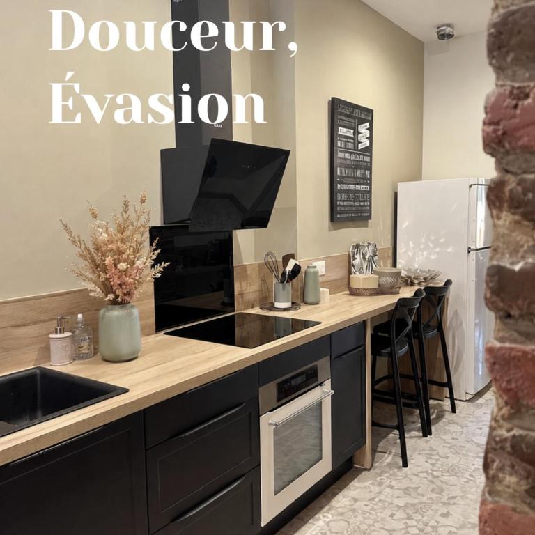 Le Pont Vieux Albi - Premium vue panoramique - Appartement 1 Chambre avec Balcon et Vue sur la Ville - 15
