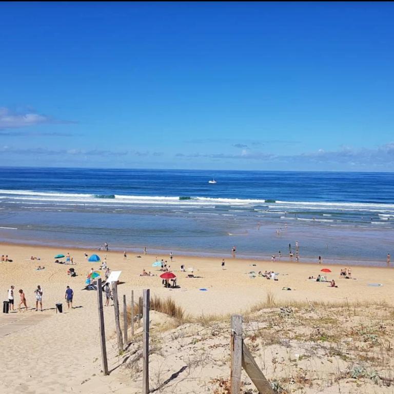 Joli cocon entre golf et plage 2 à 8 personnes - Appartement - 22