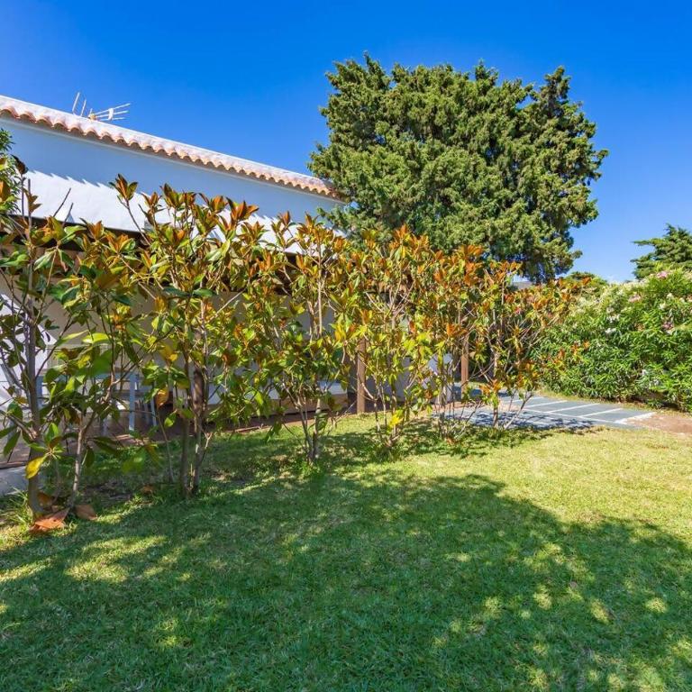 Finca San Mateo, Bungalow 2, Tarifa, Punta Paloma - Estudio - 16