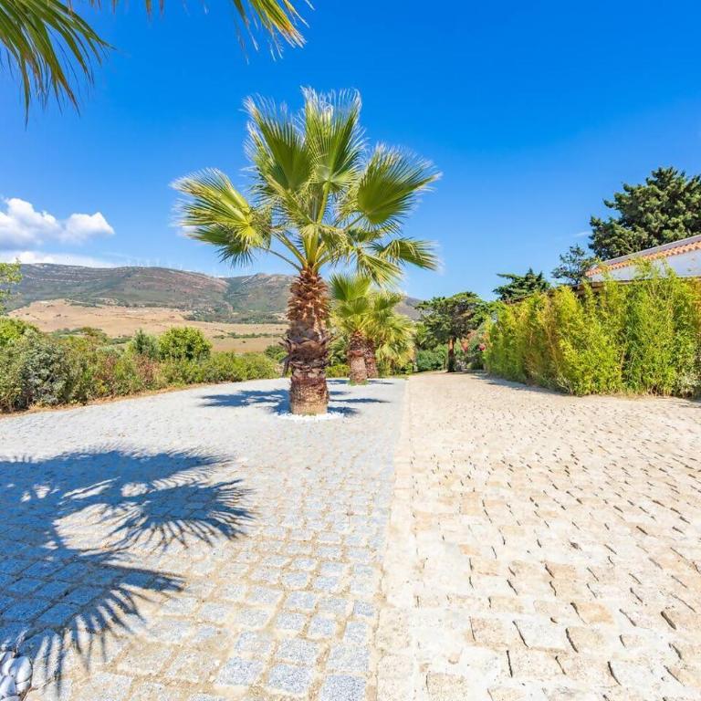 Finca San Mateo, Bungalow 2, Tarifa, Punta Paloma - Estudio - 21