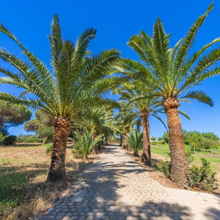 Finca San Mateo, Bungalow 2, Tarifa, Punta Paloma - Estudio - 22