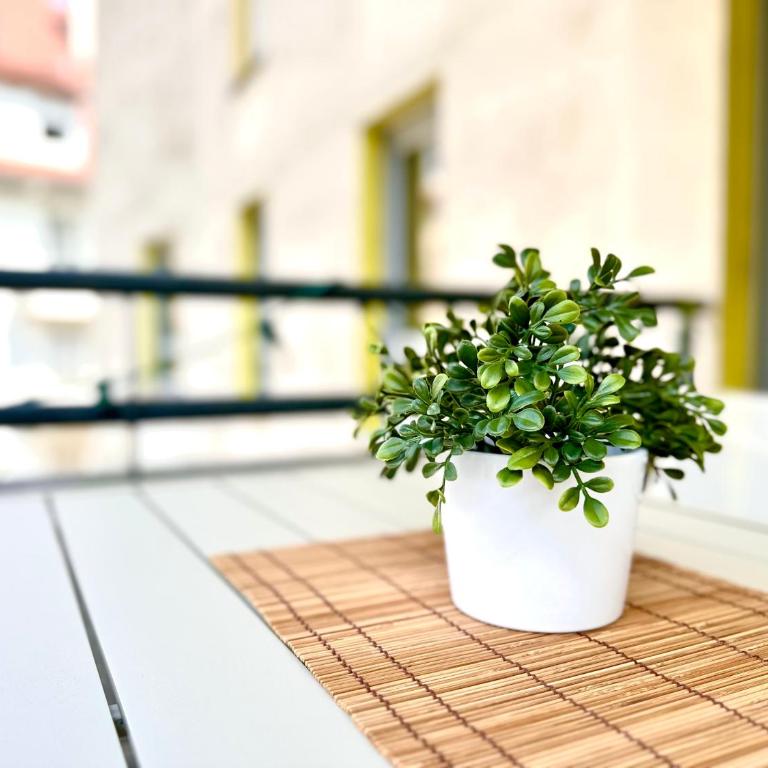 Charmant 2 pièces avec terrasse & tram à 5 min - Appartement 1 Chambre - 13