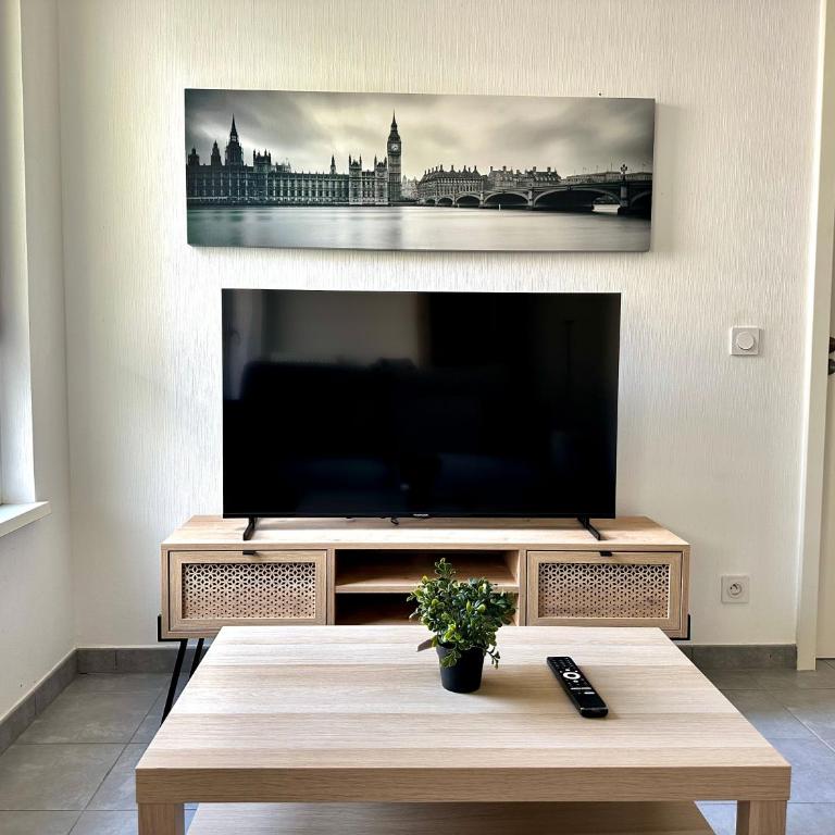 Charmant 2 pièces avec terrasse & tram à 5 min - Appartement 1 Chambre - 7