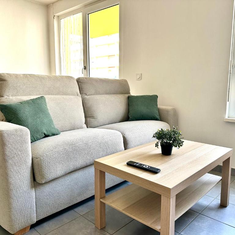 Charmant 2 pièces avec terrasse & tram à 5 min - Appartement 1 Chambre - 11