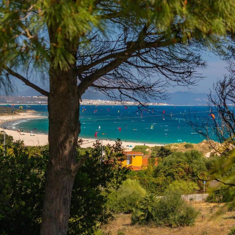 Finca San Mateo, Bungalow 3, Tarifa, Punta Paloma - Estudio - 28