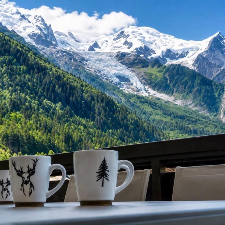 Chamonix Grand appt 7 pers parking & balcon - Appartement - 16