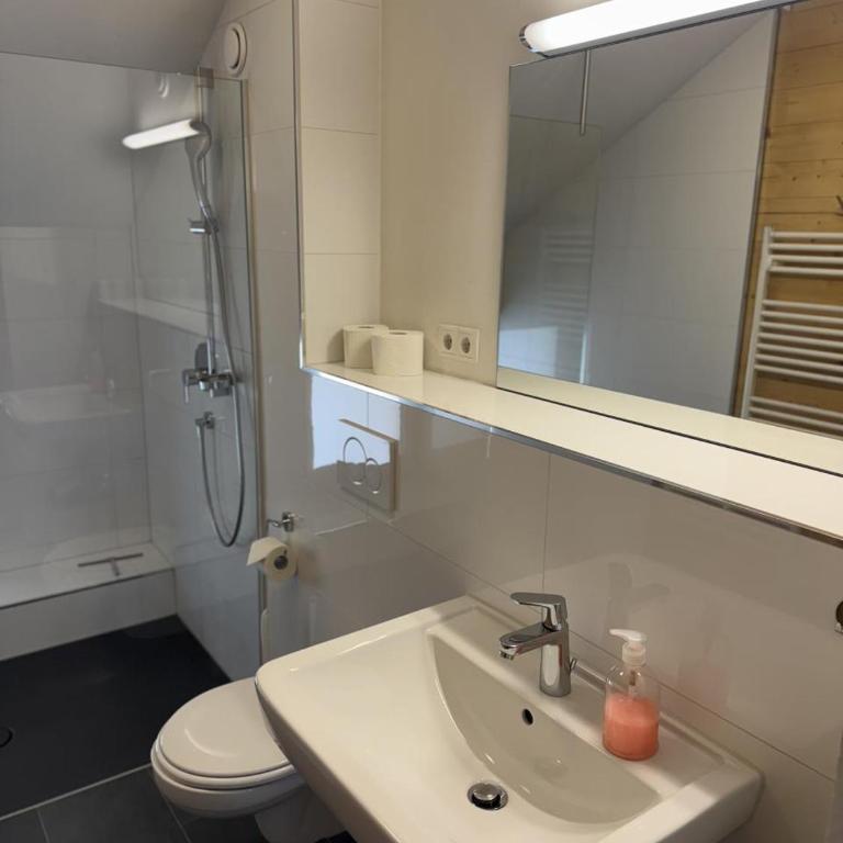 Gantekopfhütte myRelaxs Ferienwohnung Schwarzwaldschdub - Apartment - 19
