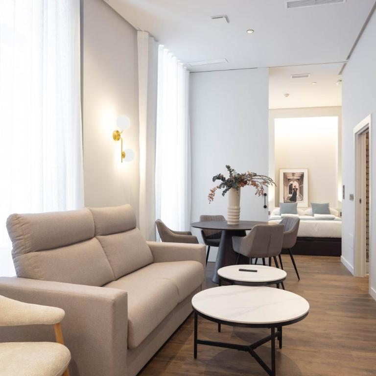 Apartamentos Centro Histórico Murcia by Trian - Apartamento Deluxe de 1 dormitorio - 12
