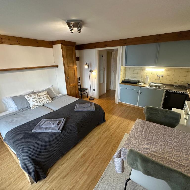 Avouitzons Medran Apartments - Ski-in Ski-out 30 meters from Medran lift and 40 meters from W Hotel - Studio avec Balcon - 1