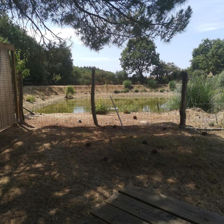 L'escale du Bouillon - Two-Bedroom House - 13