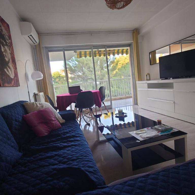 Appartement Antibes - Appartement 1 Chambre - 14