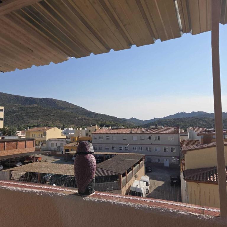 Can Llança - Apartamento con terraza - 5