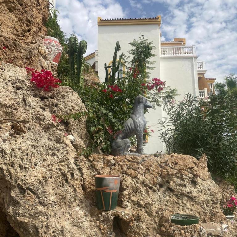 La Cueva Studio By Torremolinos On line - Appartement 1 Chambre - 3