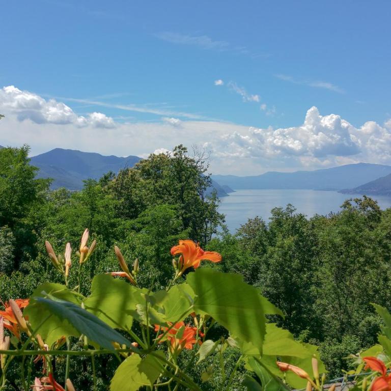 Residenza sul Lago Maggiore - Casa - 2