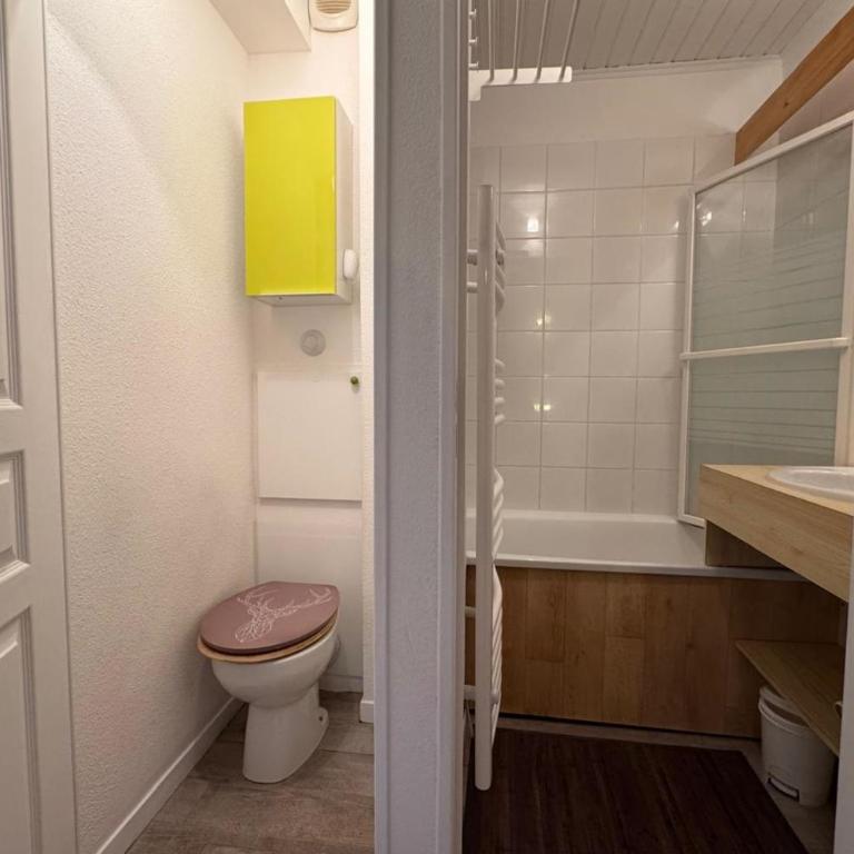Appart T2 pers Risoul Proche pistes - Appartement 1 Chambre - 15