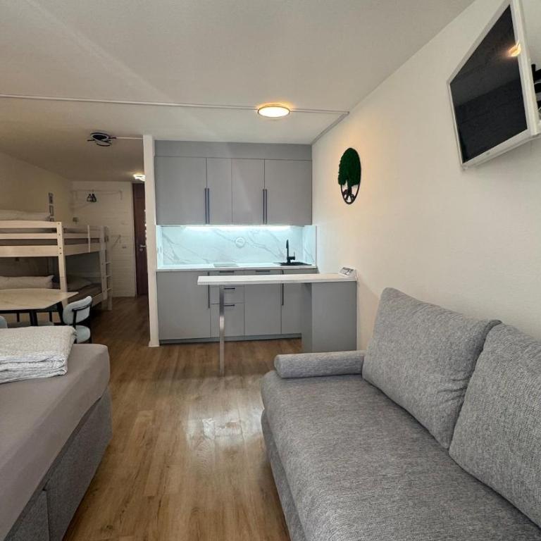 Stressless Sky inklusive Aktivcard bayerischer Wald - Apartment mit 1 Schlafzimmer - 17