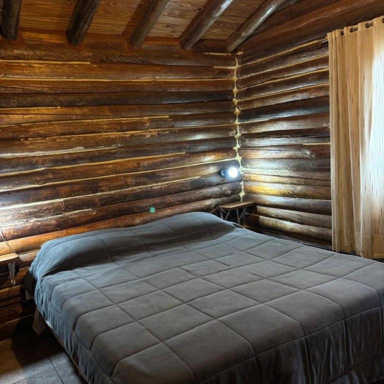 Maitén - Cabaña de Montaña - - One-Bedroom House - 2