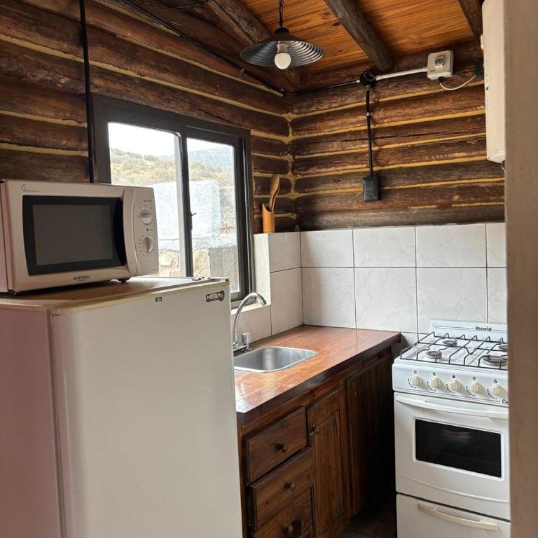 Maitén - Cabaña de Montaña - - One-Bedroom House - 5