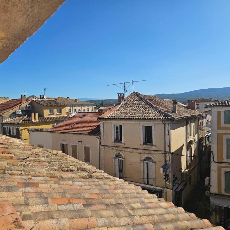 Petit nid au coeur de isle sur la sorgue - Appartement 1 Chambre - 7